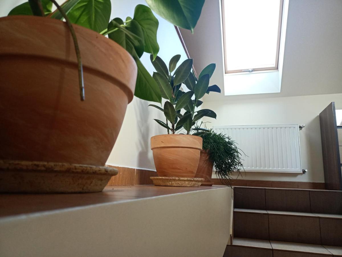Up Rooms-targi Apartment *